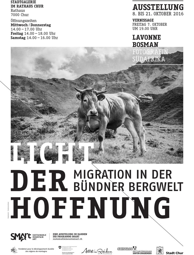 Exhibition poster, featuring a photo of a bull in the mountain for a photo project about migration in the Swiss Alps